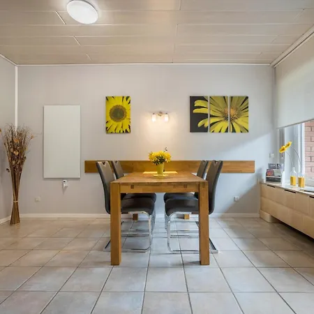 Sunshine بورتا فستفاليكا