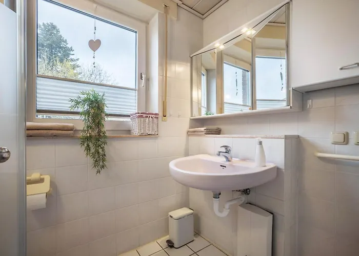 Sunshine بورتا فستفاليكا